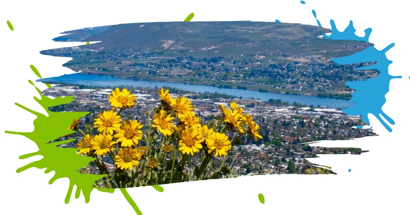 Wenatchee WA Website Design, SEO, Digital Marketing Wenatchee WA Website Design, SEO, Digital Marketing