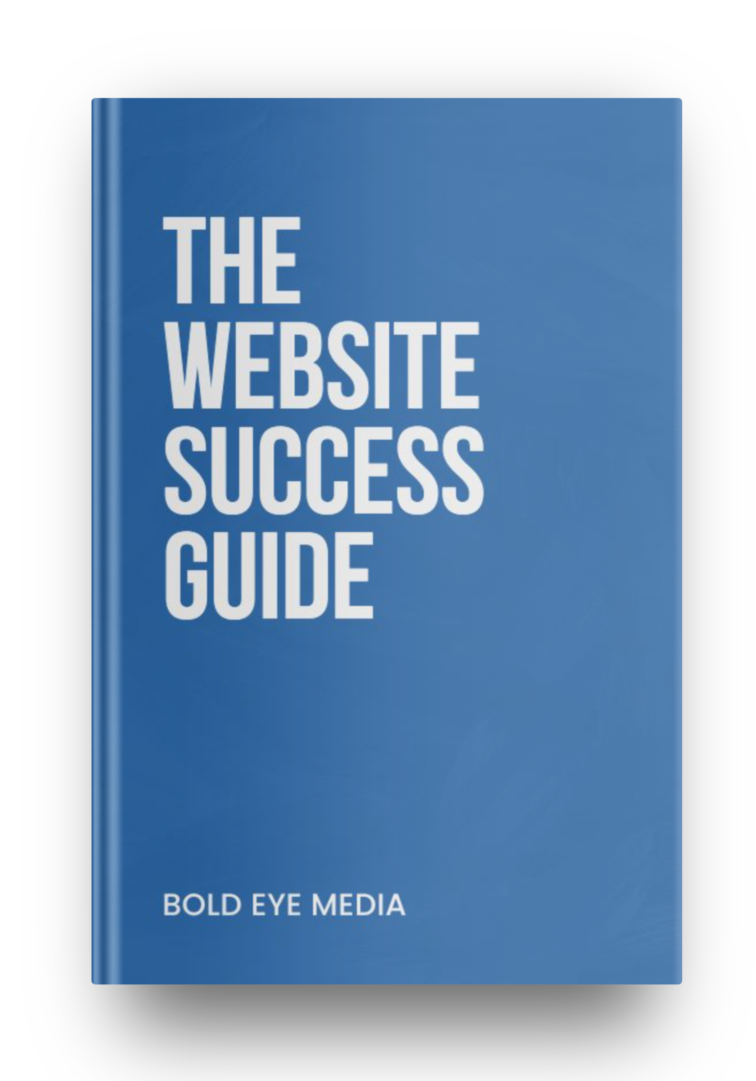 the website success guide